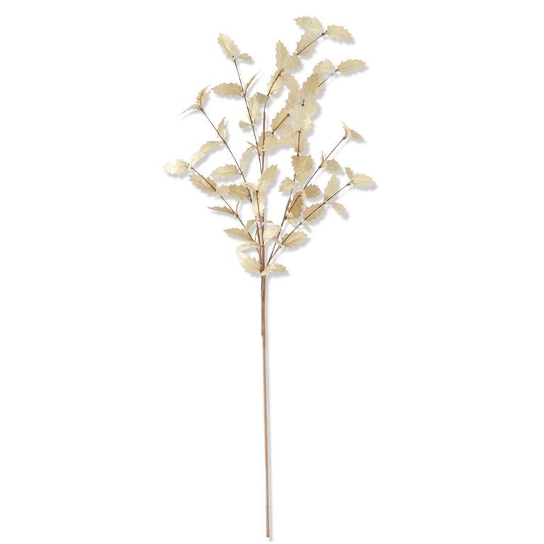 36" Cream w/Gold Holly Leaf Stem - Set of 3