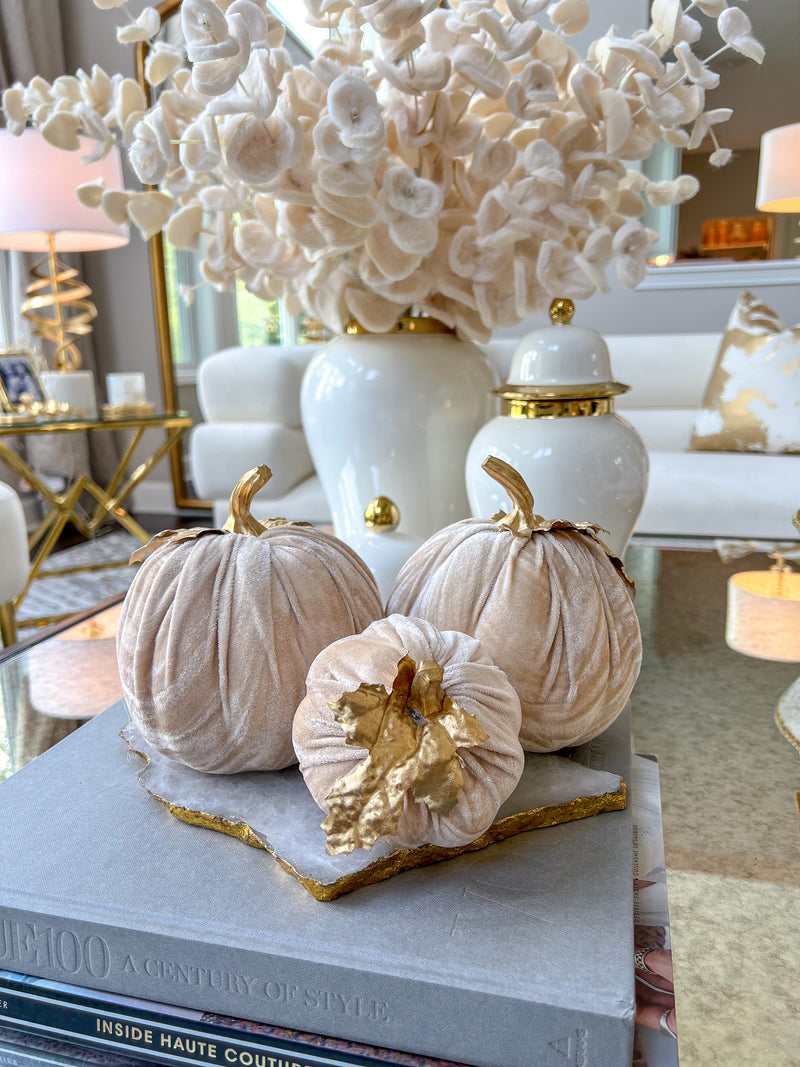 Cream Velvet Pumpkin with Gold Stem and Leaf Details (2 Sizes)