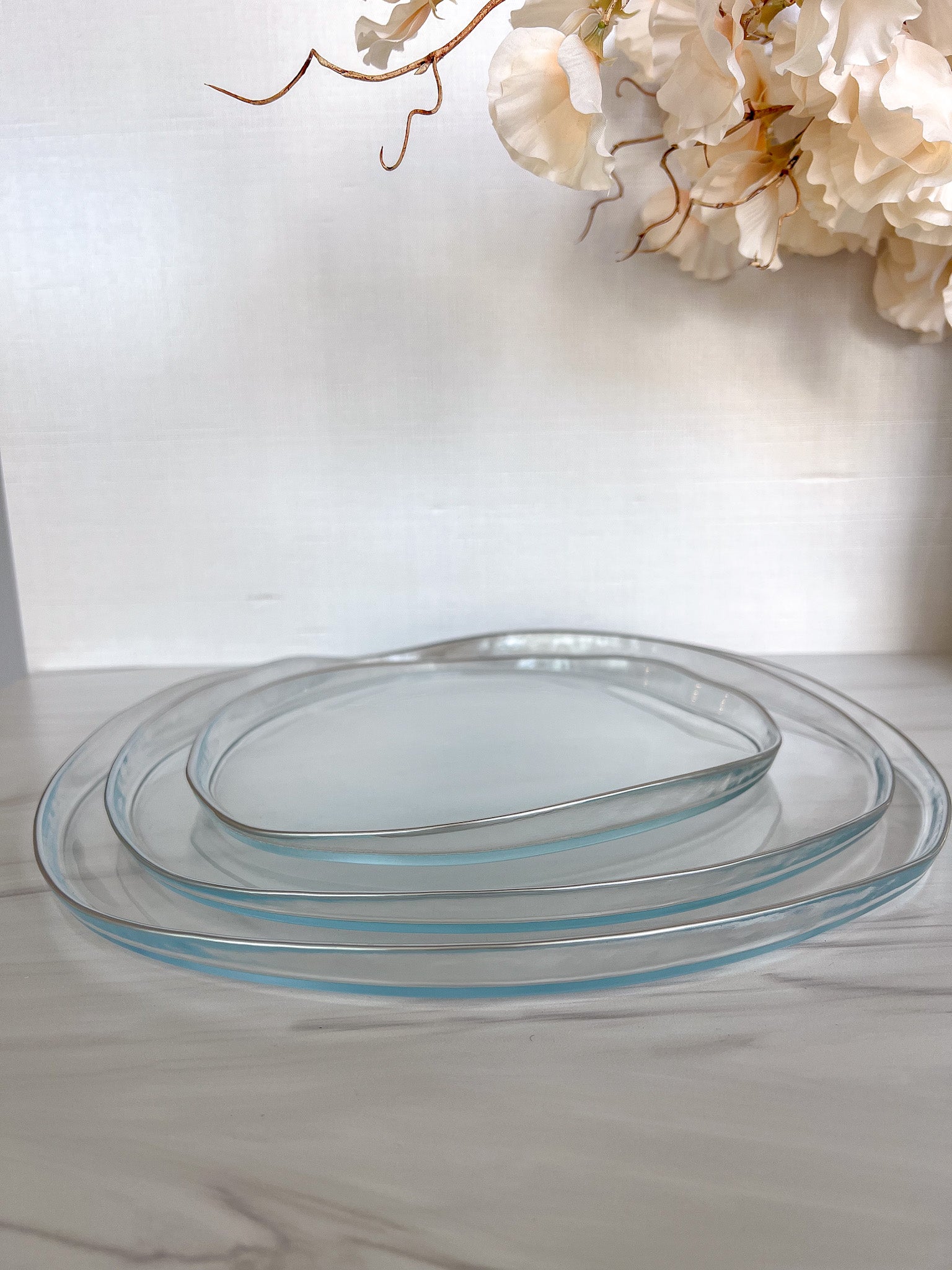 Set of 4 Organic Shaped Clear Dinnerware with Silver  Rim (3 Sizes)