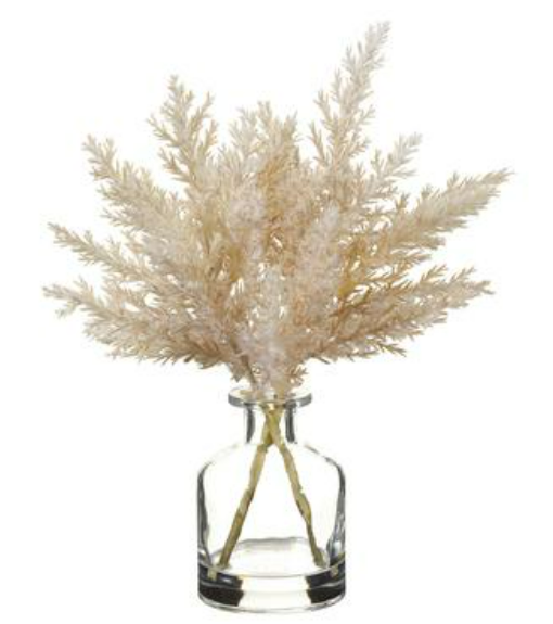 11" Pampas in Glass Vase (2 Colors)