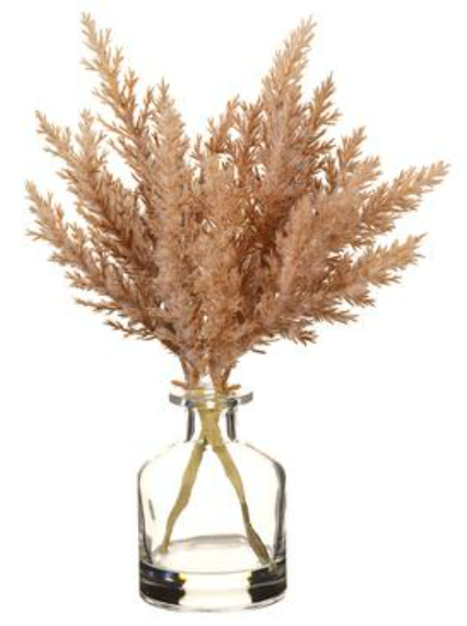 11" Pampas in Glass Vase (2 Colors)