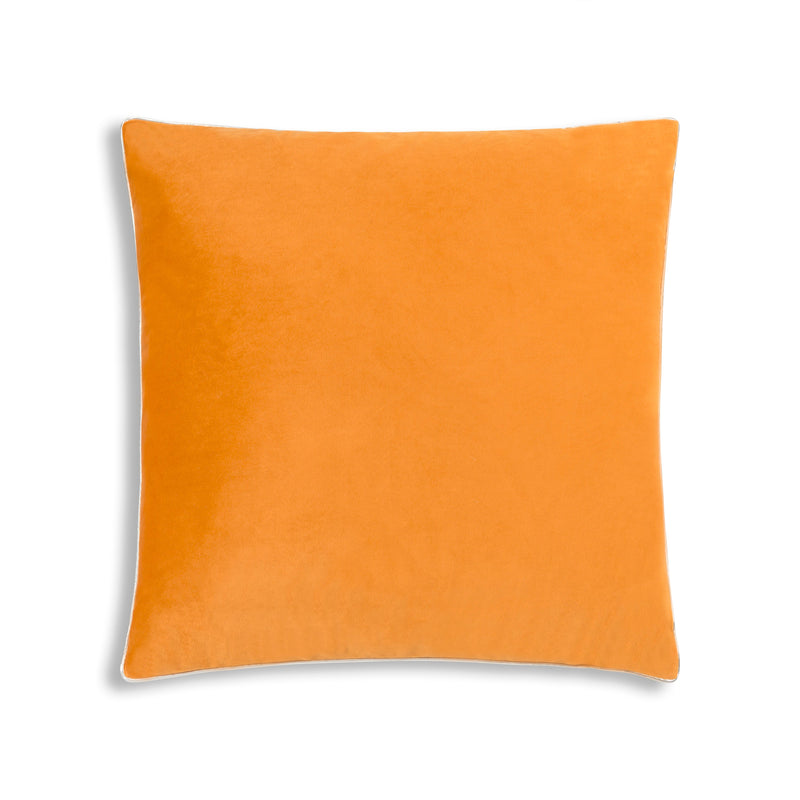 Noah Orange Velvet Pillow