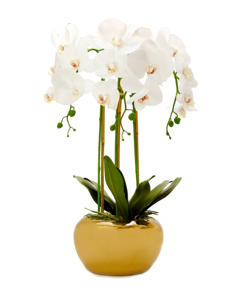 Tall White Faux Orchid in Shiny Gold Pot (2 Styles)