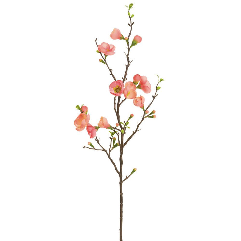 35"Quince Blossom Stem (2 Colors)