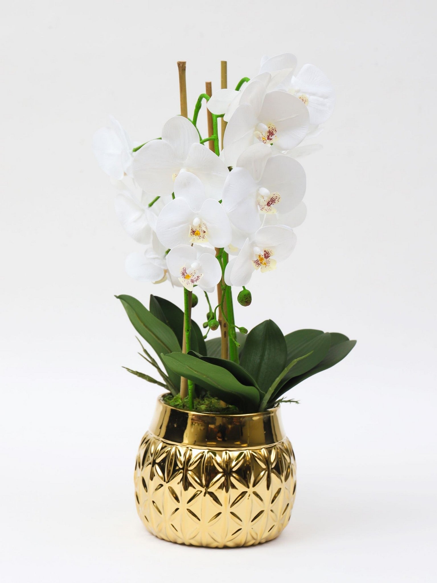 Tall White Potted Faux Orchid-Inspire Me! Home Decor