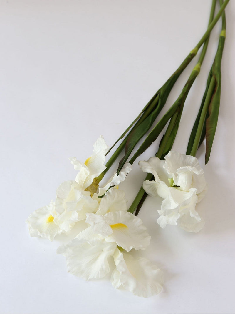 Real Touch White Iris Stem-Inspire Me! Home Decor