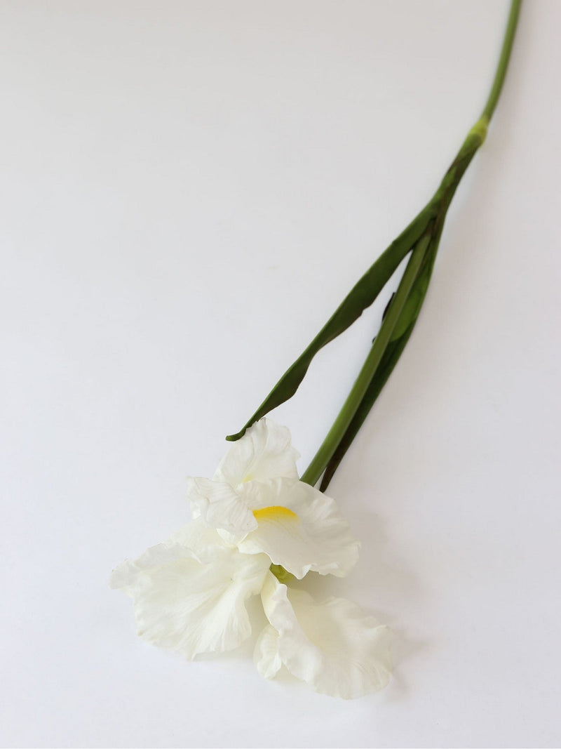 Real Touch White Iris Stem-Inspire Me! Home Decor